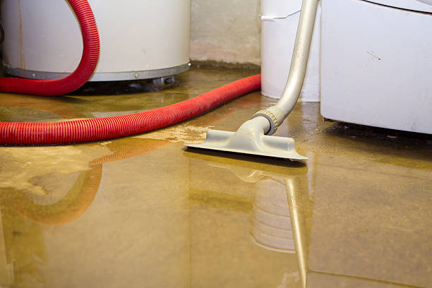 Best Basement water damage restoration  in USA